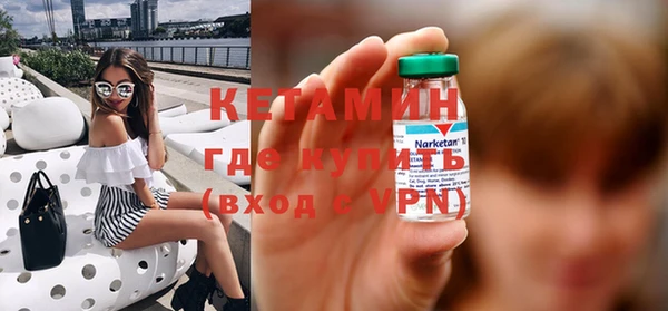 сатива Бородино