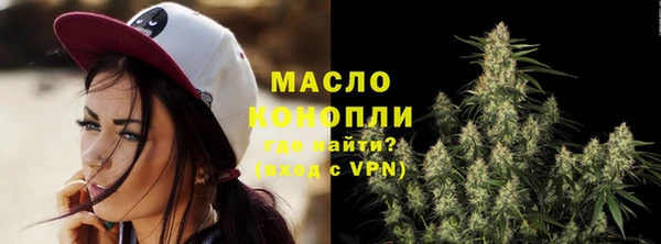 молекула духа Богданович