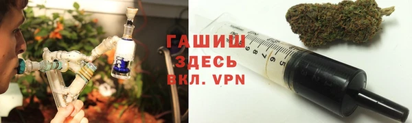 молекула духа Богданович
