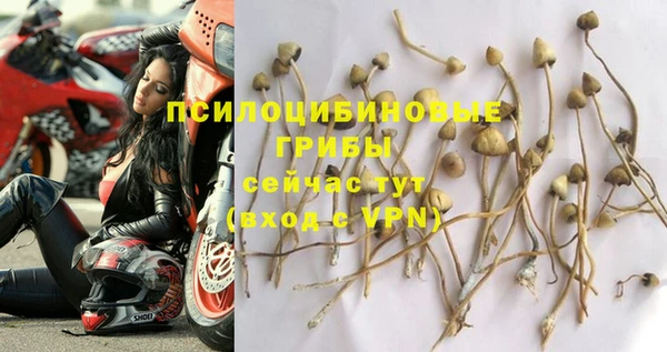 jwh Богородицк