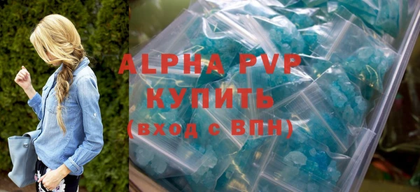 сатива Бородино