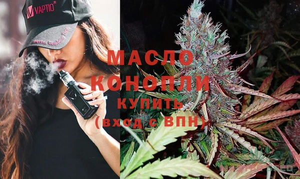 сатива Бородино