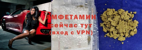 молекула духа Богданович