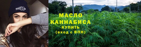 стаф Богородск
