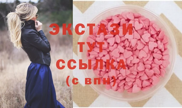 стаф Богородск