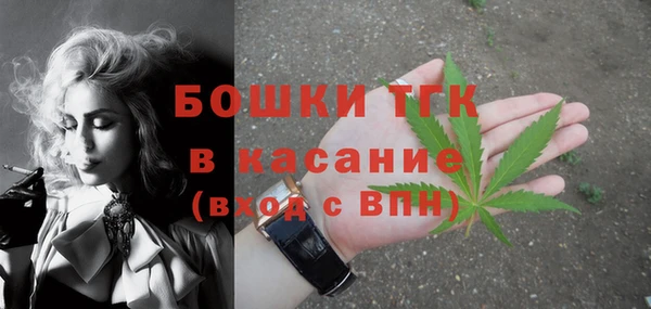 стаф Богородск