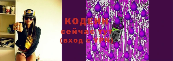 молекула духа Богданович