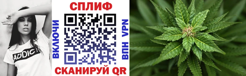 Бошки Шишки OG Kush  Купить где  Котельнич 